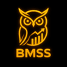 BMSS Logo